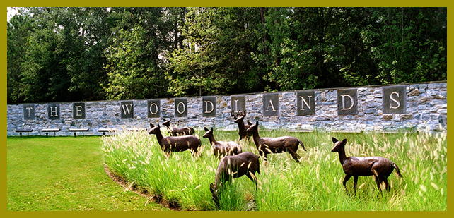 Woodlands Mosquito Control Systems